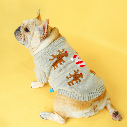 Special Dog Christmas Sweater