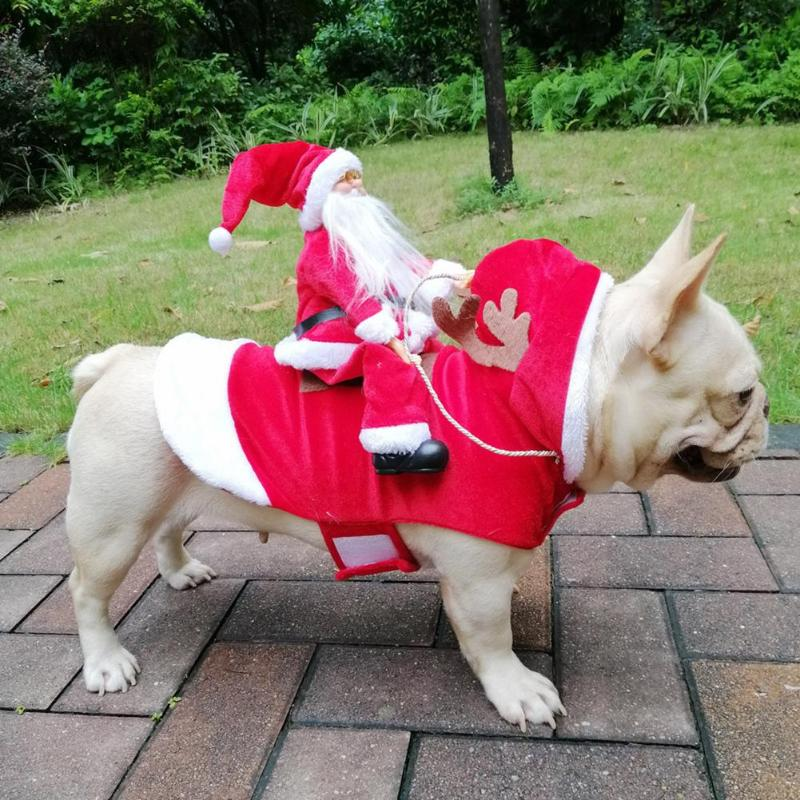 Santa Riding Christmas Outfit