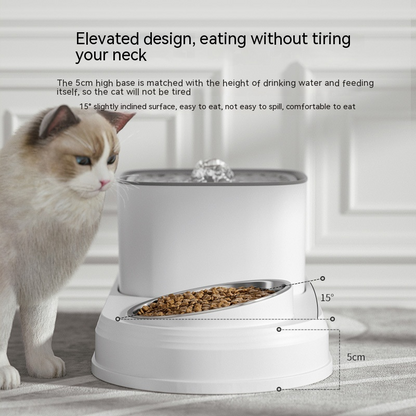 Automated Cat Water Feeder