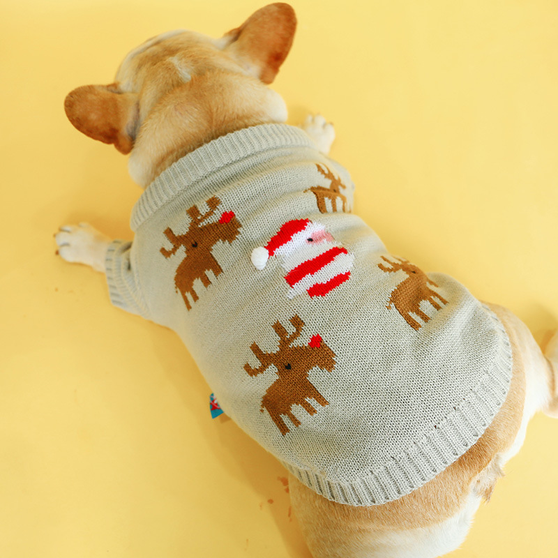 Special Dog Christmas Sweater