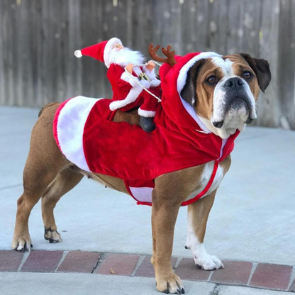 Santa Riding Christmas Outfit