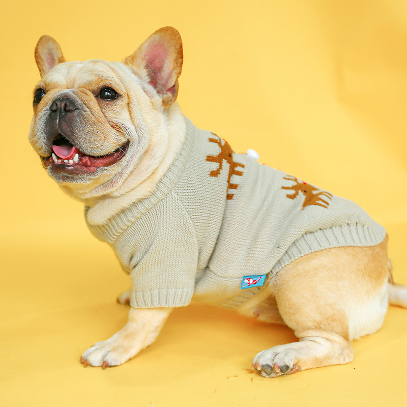 Special Dog Christmas Sweater